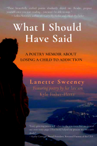 Lanette Sweeney book cover