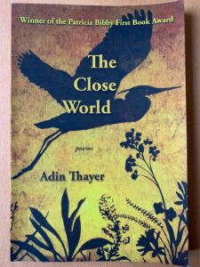 Adina Thayer's book cover