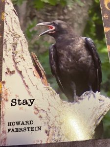 STAY by Howie Faerstein