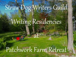 SDWG Writing Residencies